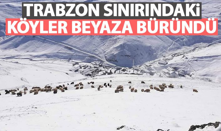 Trabzon sınırındaki köyler karla kaplandı