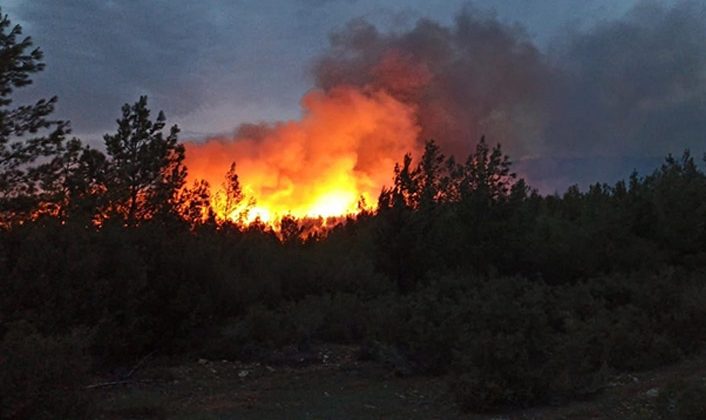 İçişleri Bakanlığı, Türkiye genelinde Orman yangını genelgesi yayınladı! Tüm illerde ormanlara girişler yasaklandı