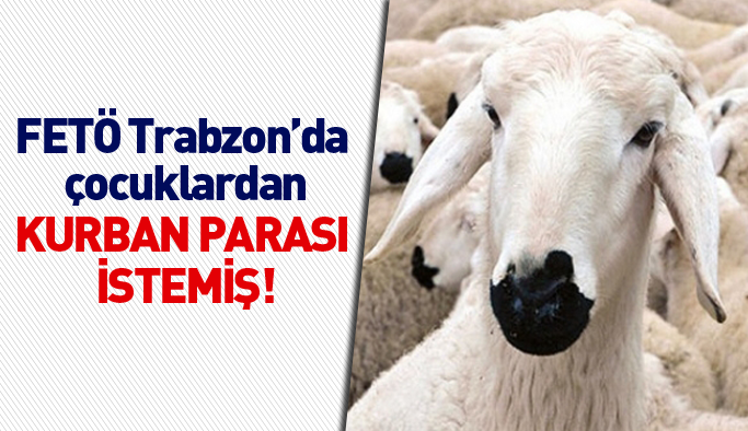 FETÖ, Trabzon’da çocuklardan kurban parası istemiş! |